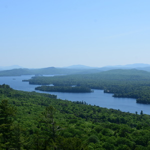 Fundraising Page: Cara Niazi